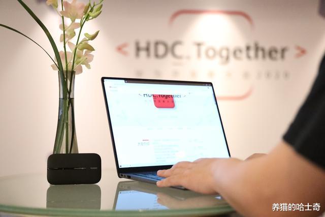 有惊喜，有热情，有关怀，我的HDC 2020华为开发者大会之行 第13张