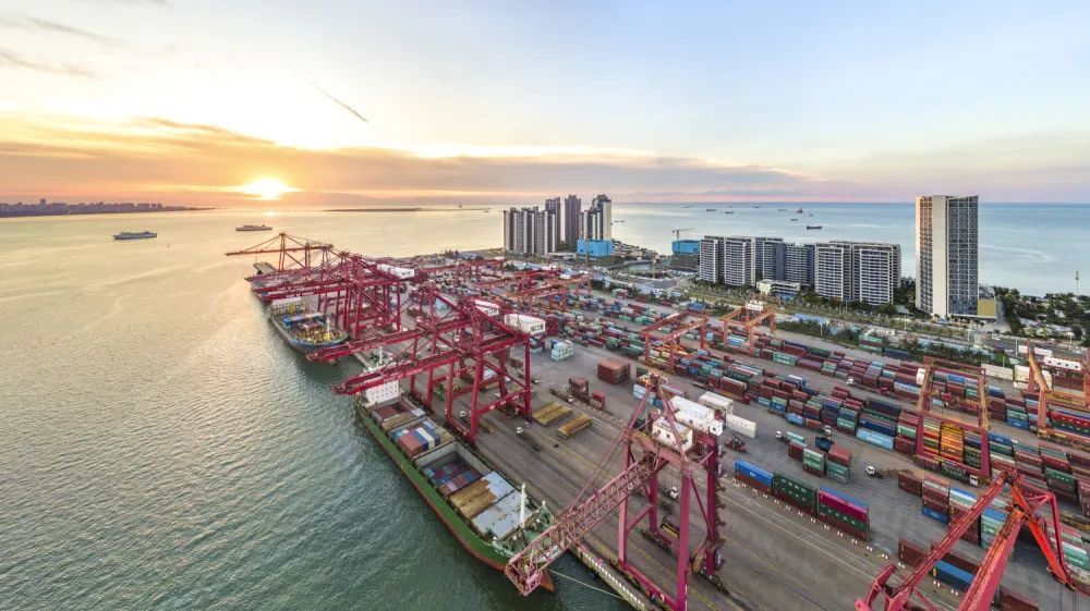 看一看2021上半年上海自贸区政策有哪些 第5张