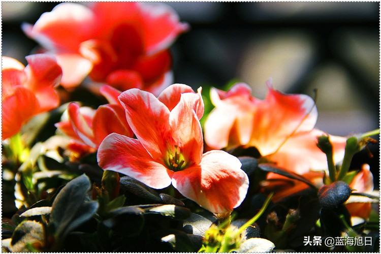 别懒惰，下班后每天两三个小时做副业，月入几千给自己多一条路 第3张