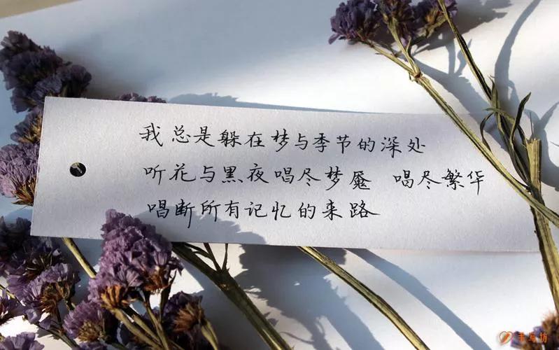 励志名言名句大全（充满正能量的人生格言） 第9张