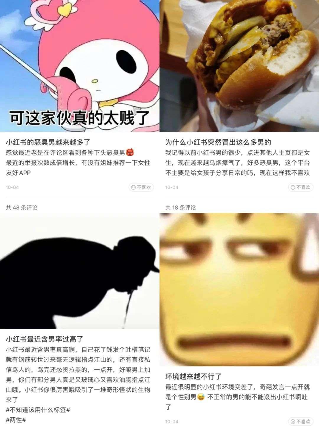 圈层摩擦加剧，小红书的算法污点无解 第21张