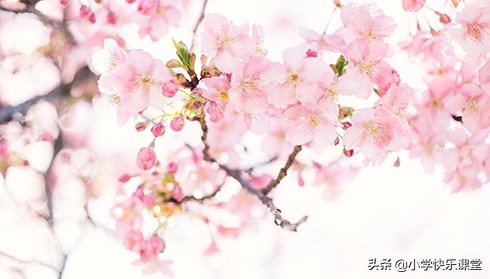 写春夏秋冬的成语大全（描写四季的成语） 第1张