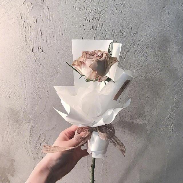 优美的爱情句子摘抄简短（摘抄这21条优美情感句子） 第5张