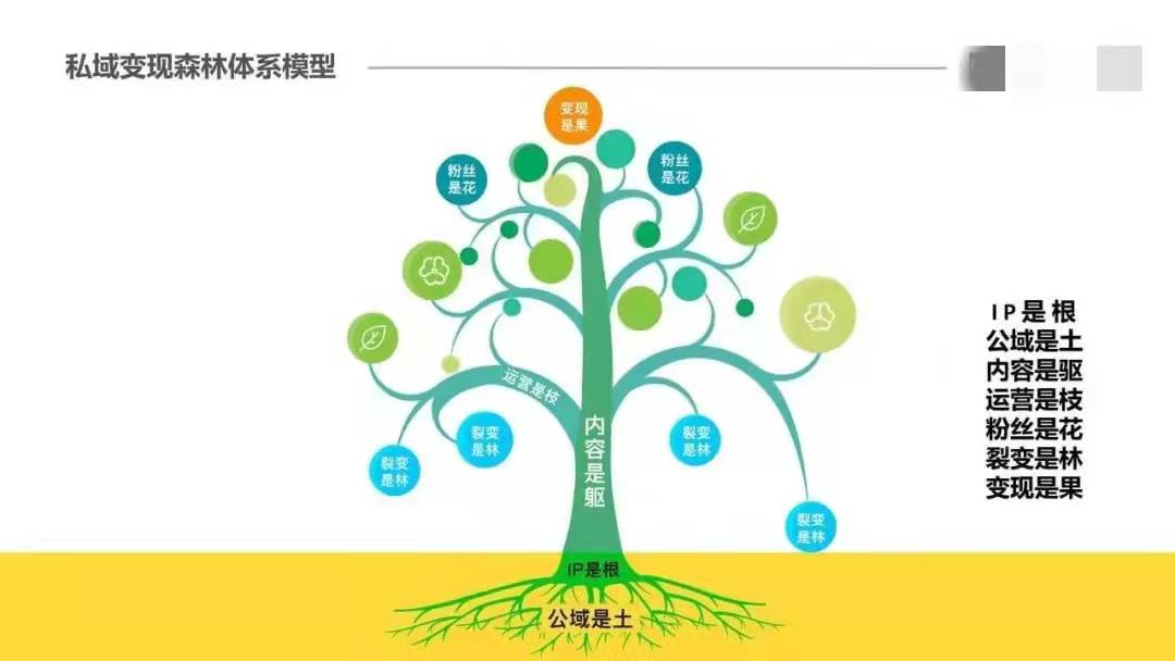 揭秘私域变现森林体系，7大系统34个模块，重新理解私域这件事 第5张