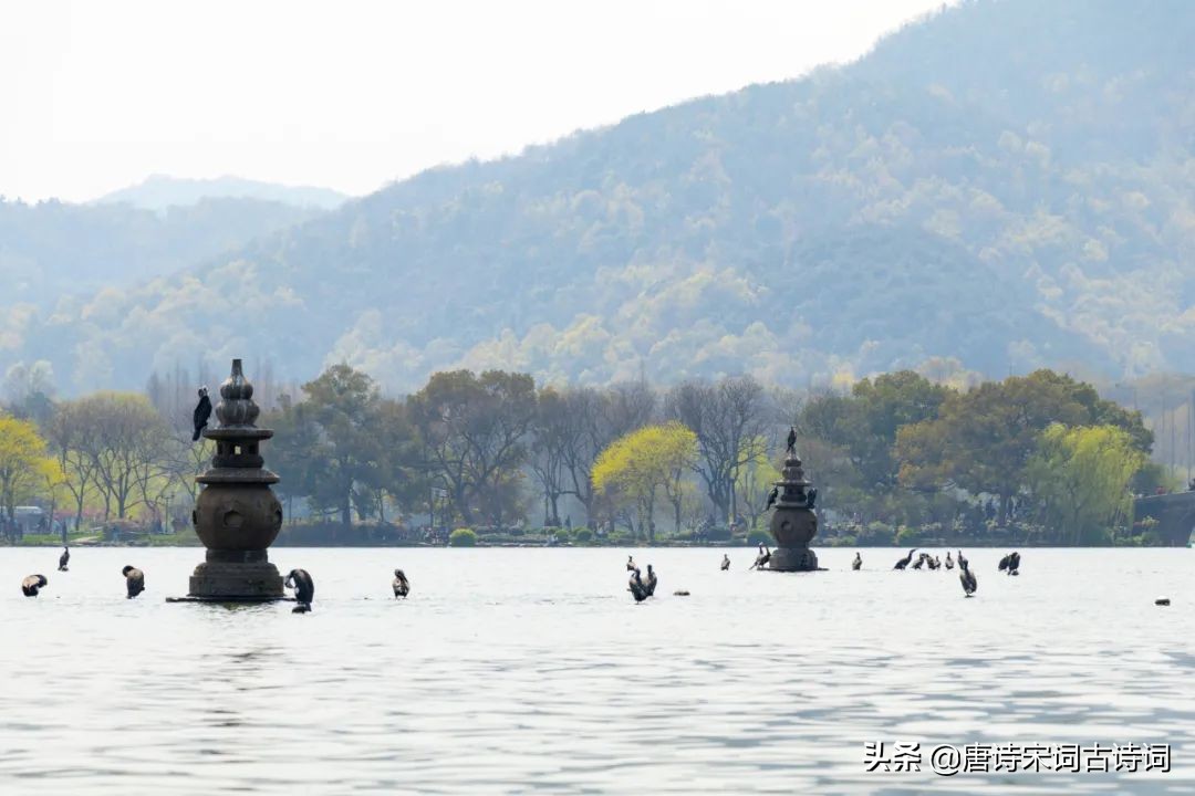 钱塘湖春行白居易（钱塘湖春行翻译和赏析） 第5张