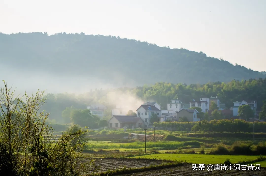 寒食节的诗句有哪些（寒食节的诗句古诗大全） 第13张