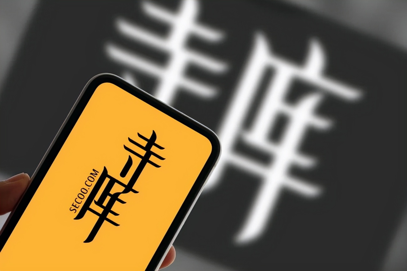 垂直电商的至暗时刻，谁是下一个“蘑菇街”？ 第5张