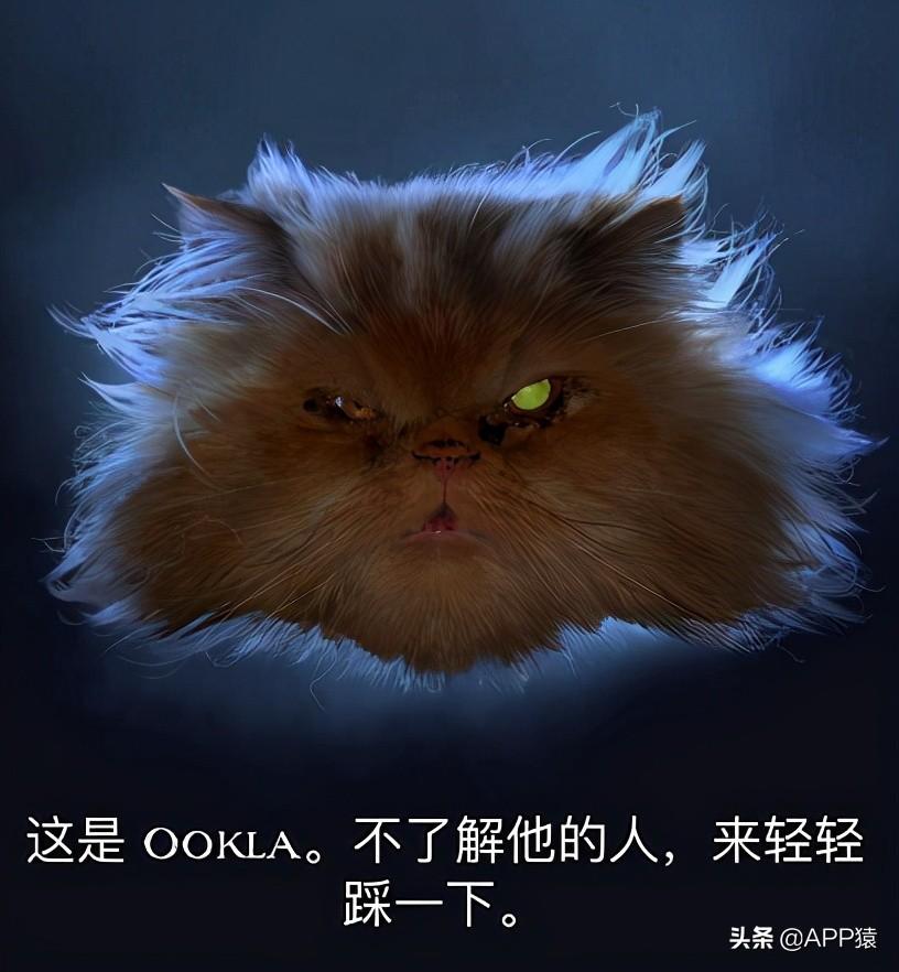 测网速wifi在线测试（3个专业网速测试APP推荐） 第7张