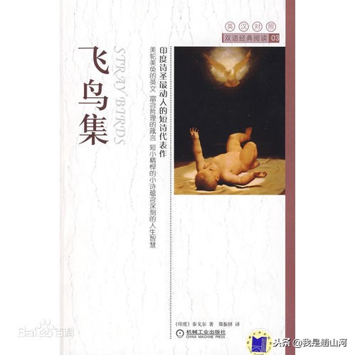 泰戈尔诗选最美的十首诗（最美的诗歌泰戈尔诗选最美的十首诗） 第3张
