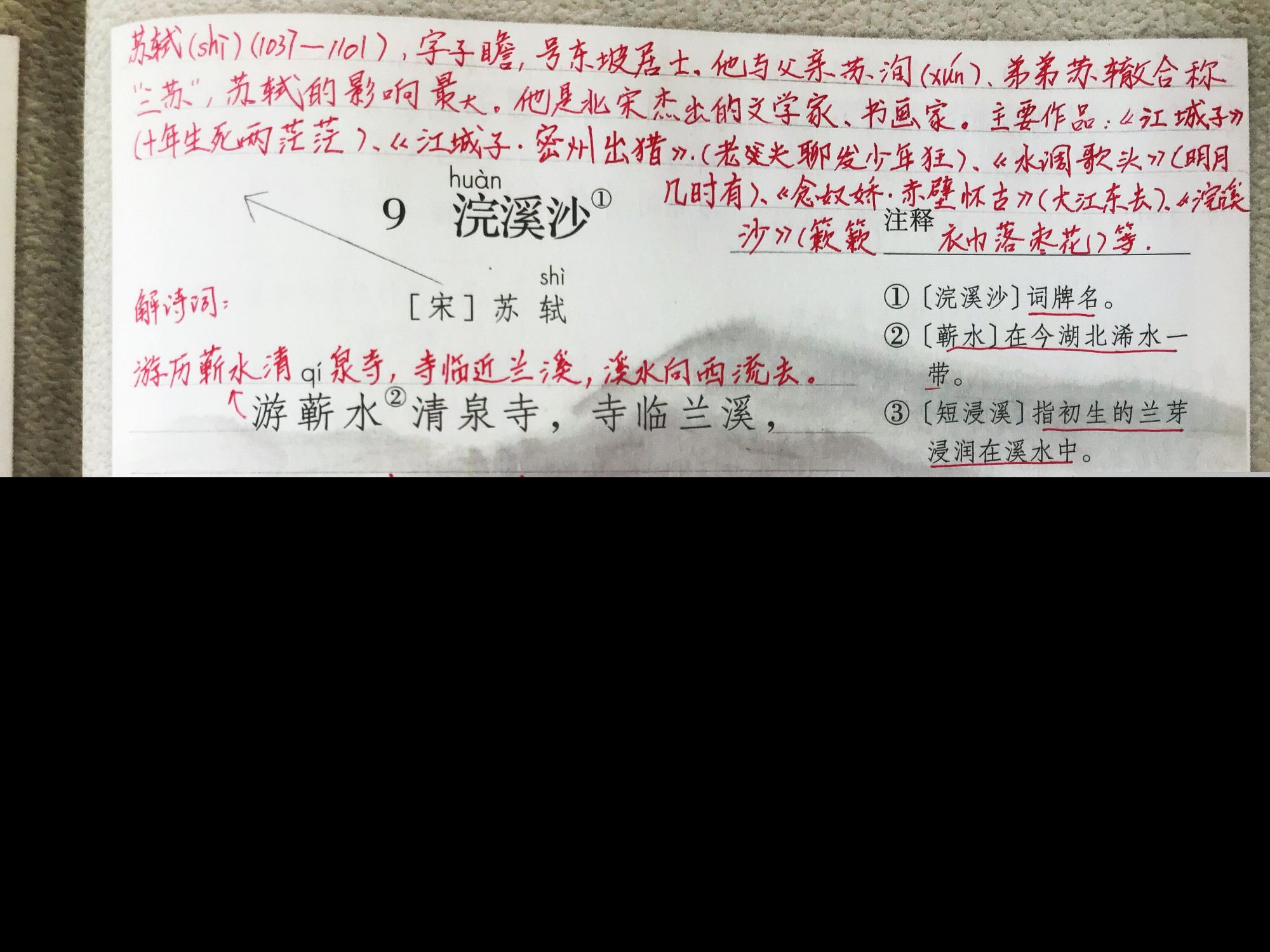 苏轼的浣溪沙全诗解析（浣溪沙赏析及中心思想） 第7张