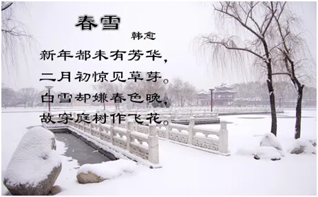 春雪韩愈赏析及解释（春雪原文内容及译文分享） 第5张