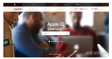 iphone id密码忘了怎么办（找回苹果ID密码的方法） 第17张