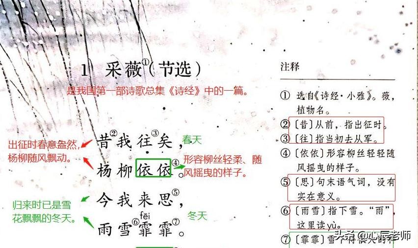 六年级下册采薇朗读（采薇诗文赏析及题意解读） 第1张