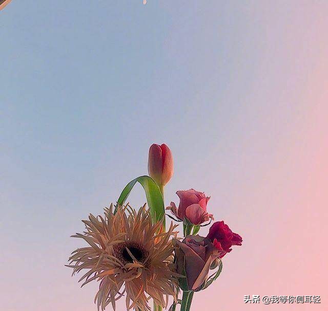 美句简短优美句子励志（美言美句摘抄励志） 第7张