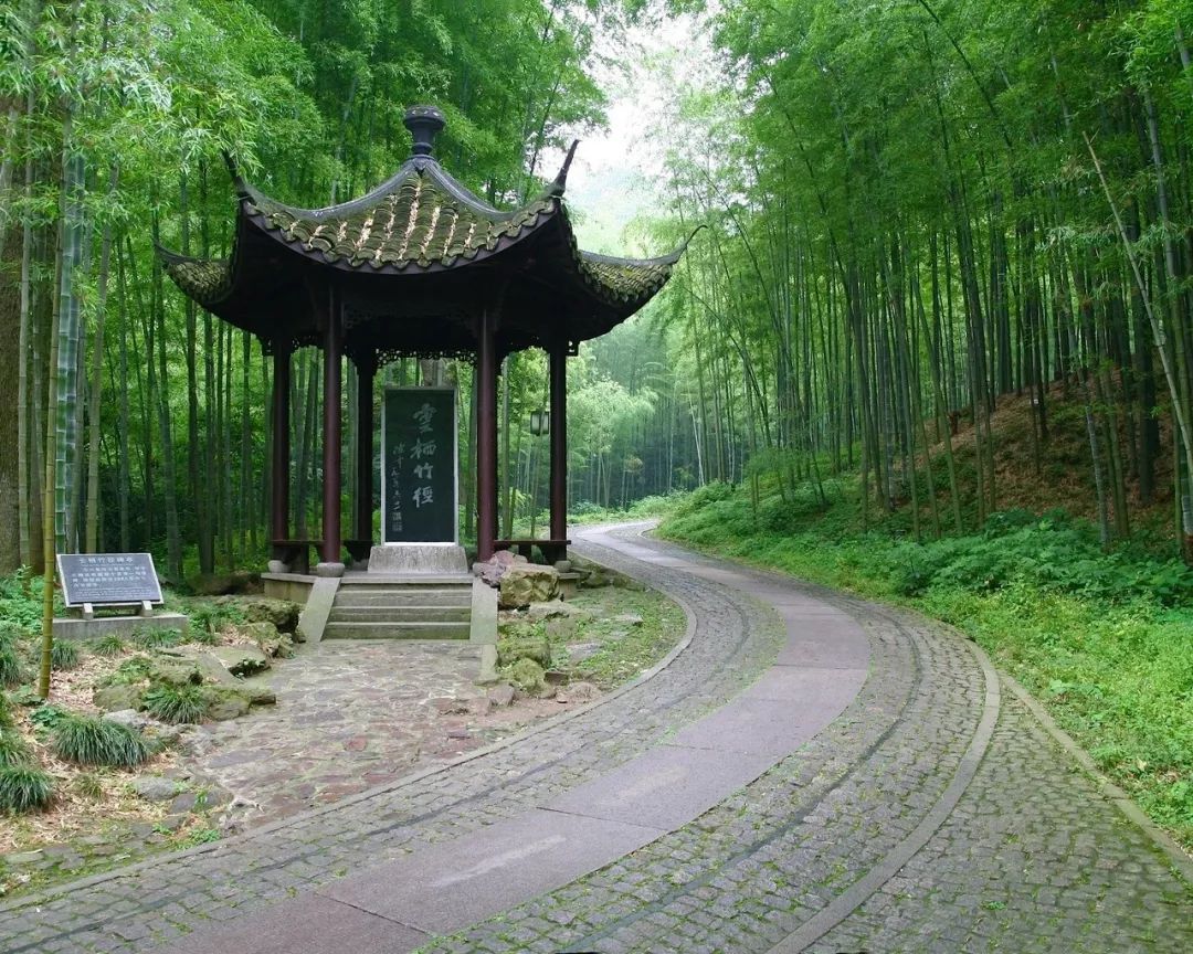 形容美景的诗句经典（关于写景色的古诗） 第25张