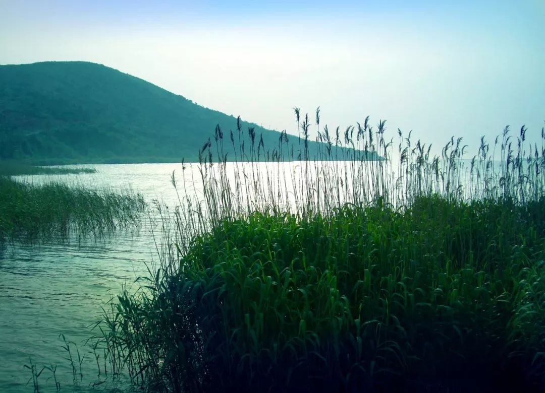 形容美景的诗句经典（关于写景色的古诗） 第31张