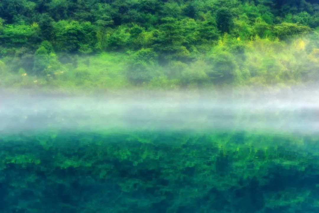 形容美景的诗句经典（关于写景色的古诗） 第33张