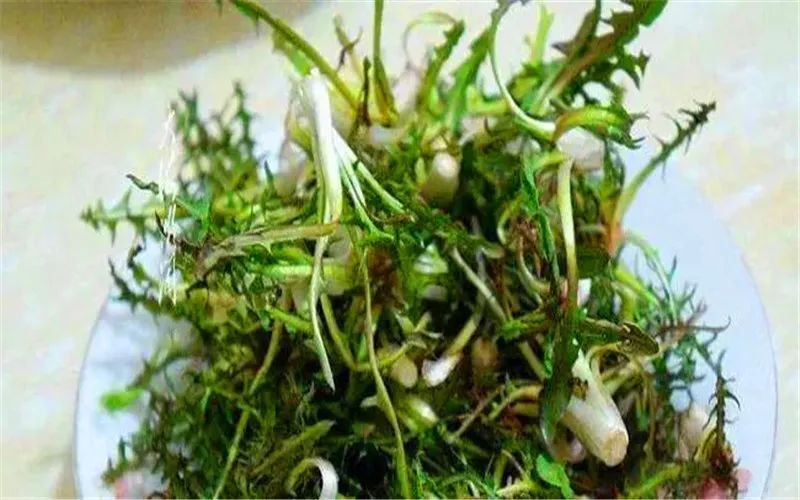 春季在农村，有哪些赚钱的途径，能每月收入七八千的？ 第5张