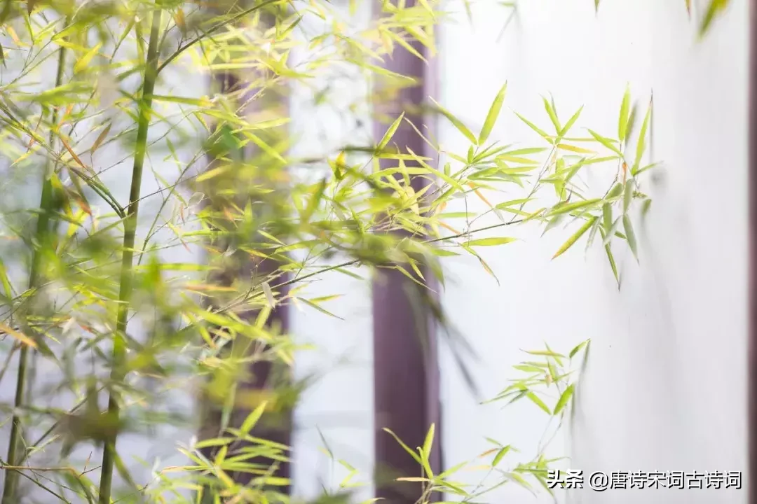 辛弃疾代表作有哪些（辛弃疾最有名的25首诗词） 第11张