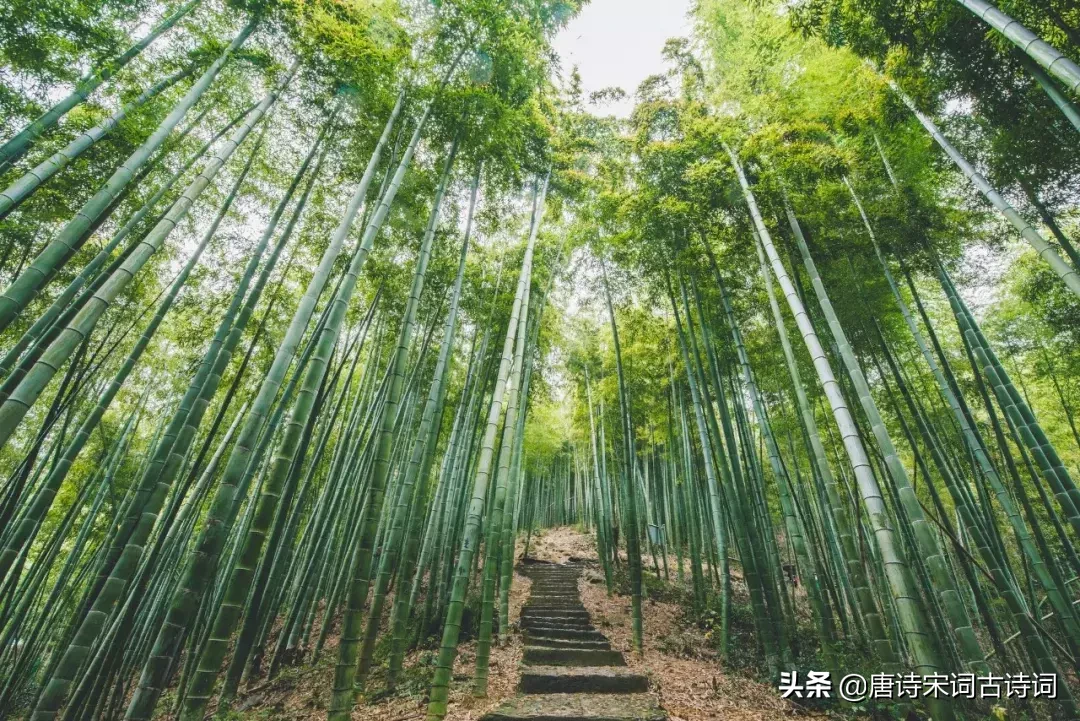 辛弃疾代表作有哪些（辛弃疾最有名的25首诗词） 第13张