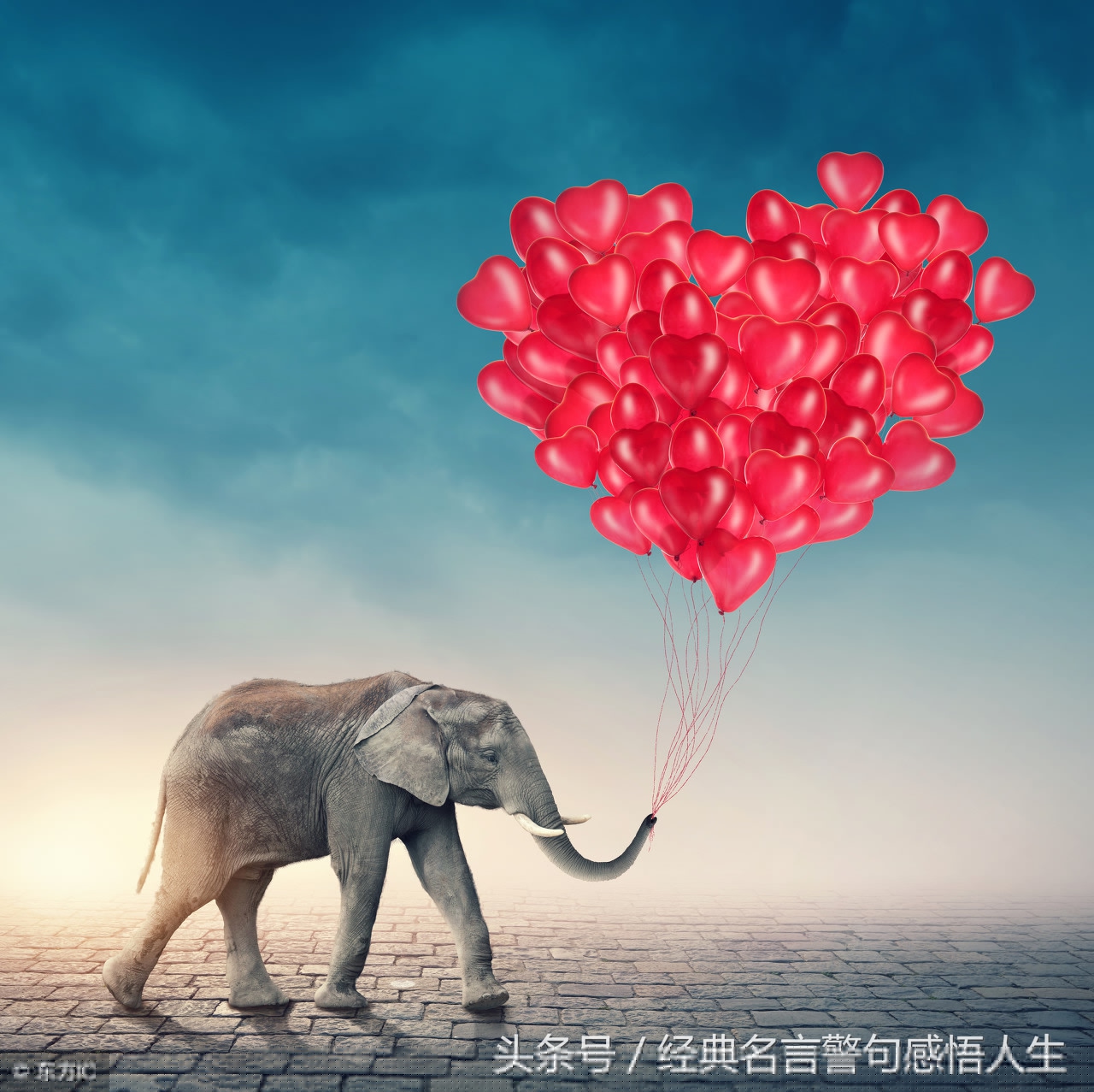 关于要学会放弃的名言警句（形容进退有度的至理名言） 第3张