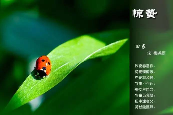 二十四节气诗歌有哪些（描写24节气的古诗） 第11张