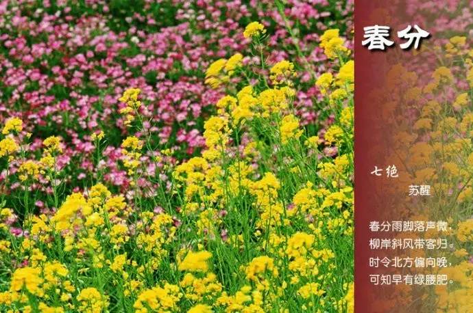 二十四节气诗歌有哪些（描写24节气的古诗） 第15张