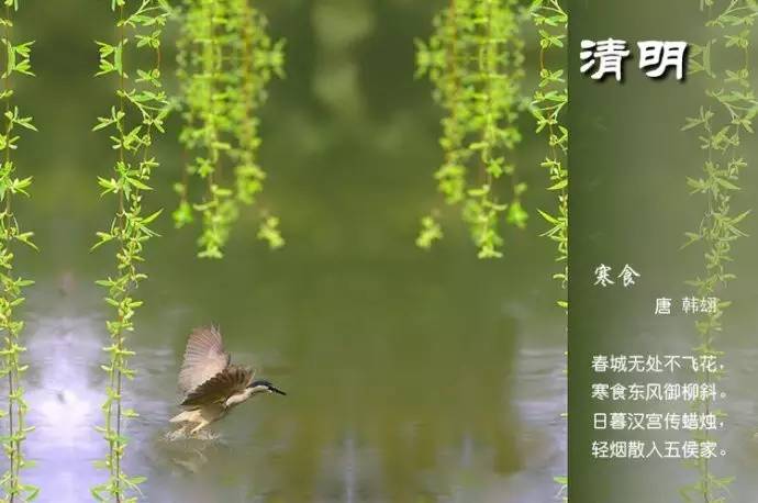 二十四节气诗歌有哪些（描写24节气的古诗） 第19张
