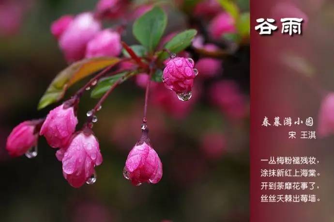 二十四节气诗歌有哪些（描写24节气的古诗） 第23张