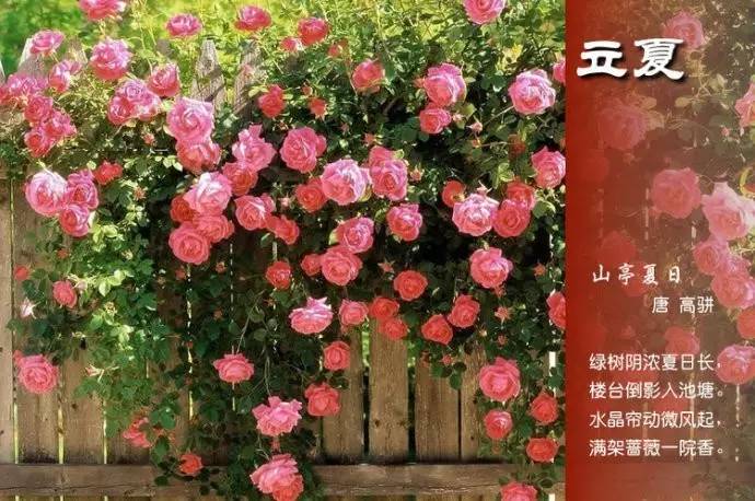 二十四节气诗歌有哪些（描写24节气的古诗） 第27张