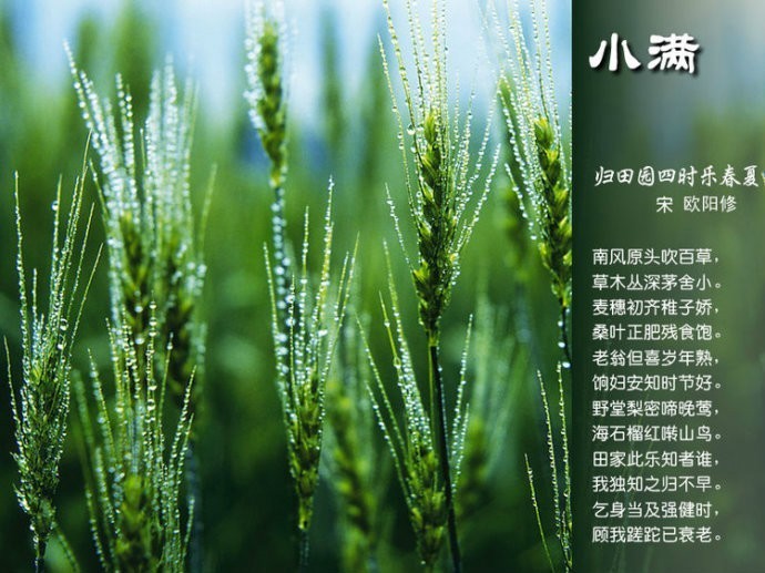 二十四节气诗歌有哪些（描写24节气的古诗） 第31张