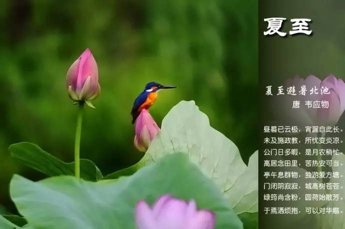 二十四节气诗歌有哪些（描写24节气的古诗） 第39张
