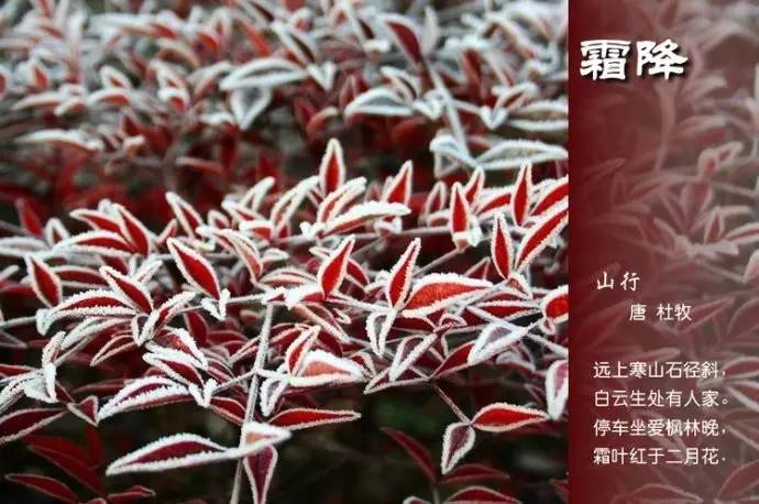 二十四节气诗歌有哪些（描写24节气的古诗） 第71张