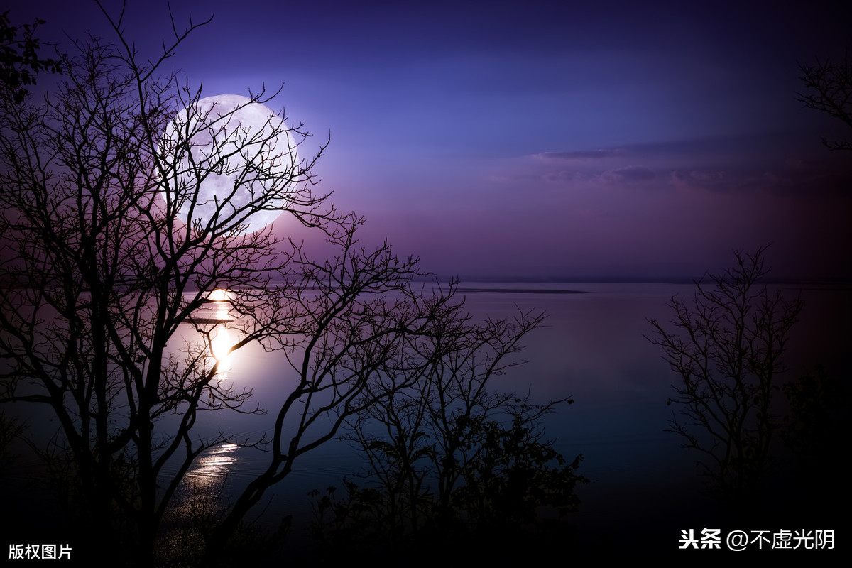 十五夜望月赏析（十五夜望月古诗原文及翻译） 第1张