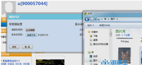 image-1073 第5张
