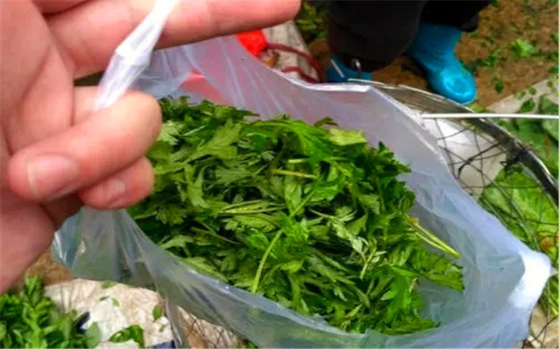 50岁的人手里只有三千元，现在能做哪些小生意，收入比上班强？ 第5张