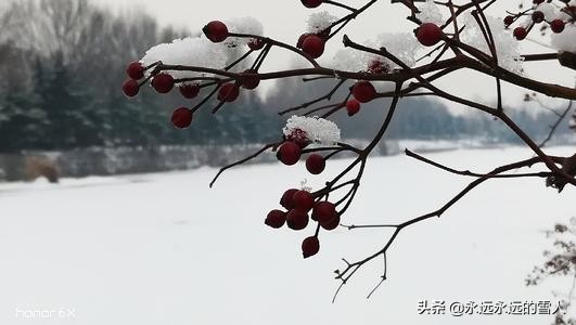 心里的苦自己扛的诗句（万千思绪涌心头的11首古诗） 第17张