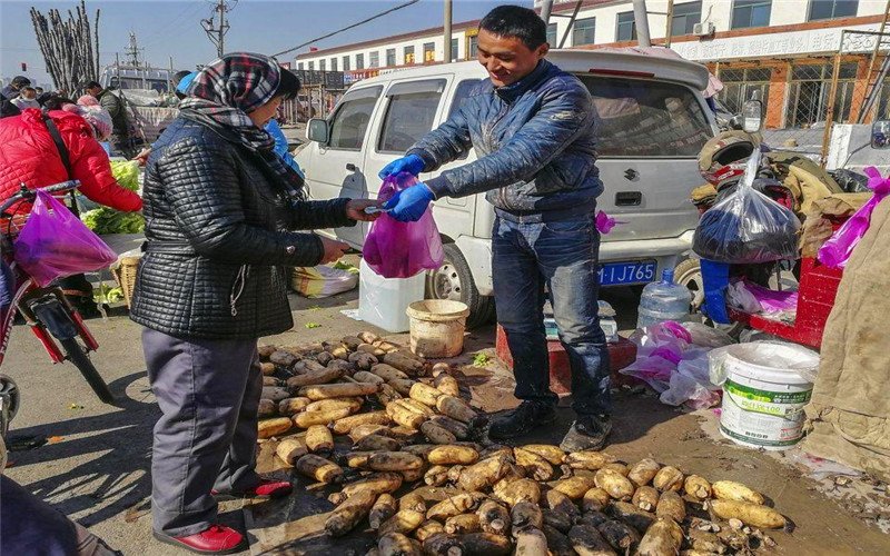 50多岁的人在农村，2000元的投入，能做哪些小生意？ 第1张