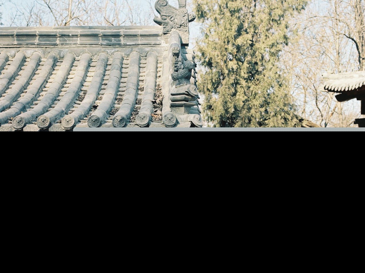 感恩的古诗有哪些（表达感恩的古诗词） 第9张