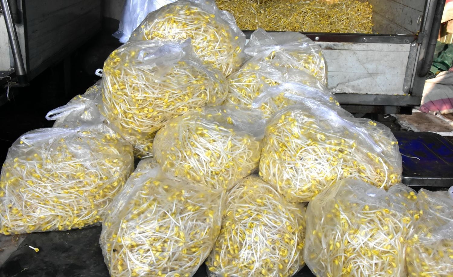 小生意也能赚大钱！这个卖豆芽的摆摊老板，一年竟然能赚36万 第1张
