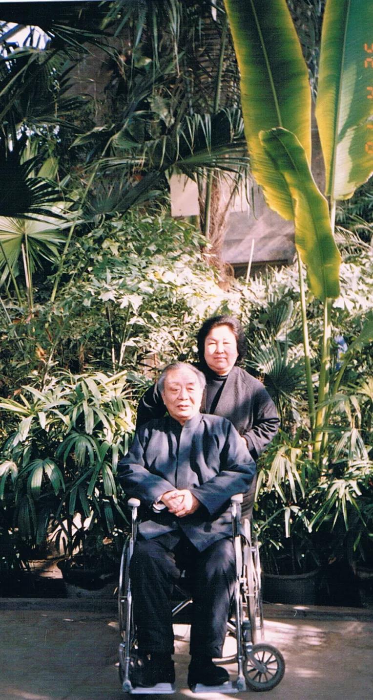 艾青的诗歌大全简单（艾青的现代诗歌鉴赏） 第7张