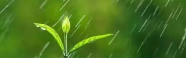 经典抒情散文诗（抒情散文诗精选简短） 第3张