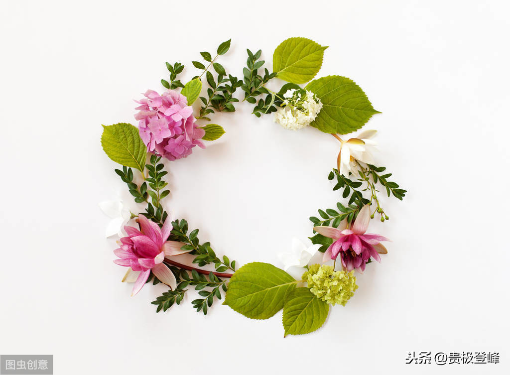 借景抒情的诗句有哪些（分享这8首借景抒情的名诗） 第11张