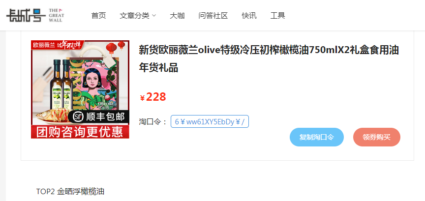 网站的变现途径（100IP一样可以月入万元） 第11张