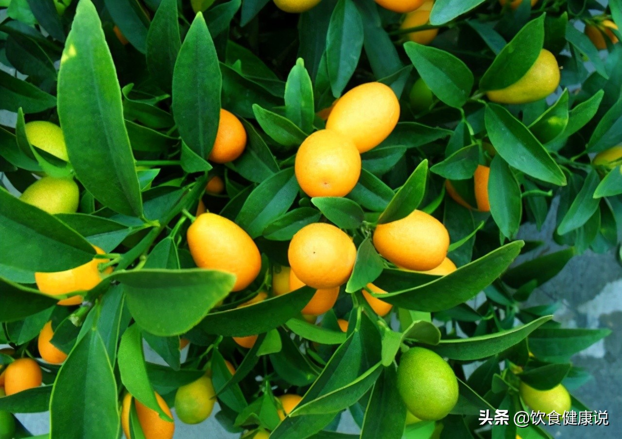 女人若想延缓衰老，不妨选择这7种食物，常吃或有助养颜抗衰老 第5张