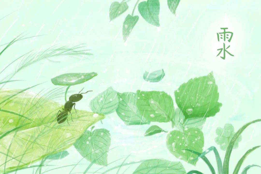 春雨诗句古诗大全（春雨绵绵的唯美诗句） 第9张