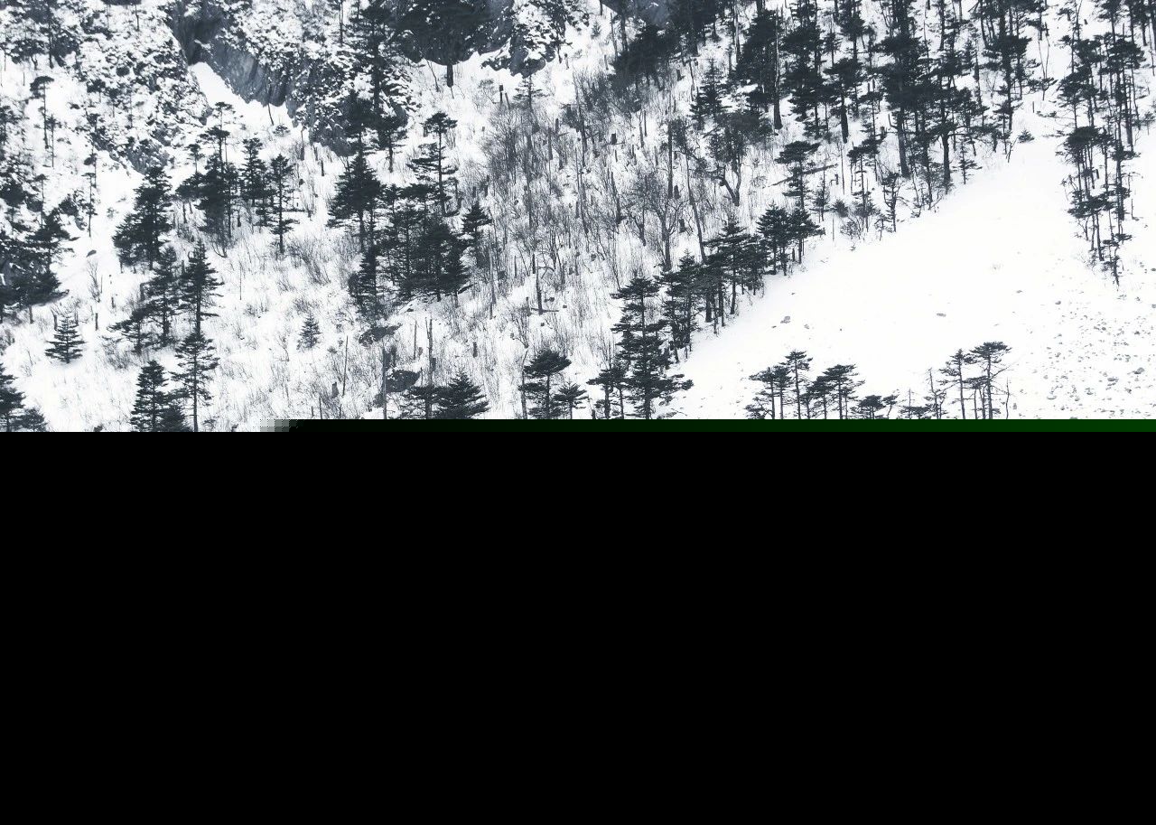 咏雪的古诗有哪些（描写雪的古诗欣赏） 第11张