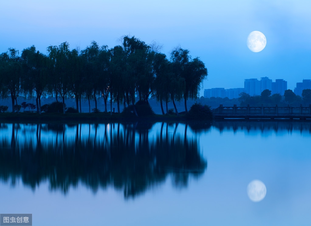 含夜的诗句有哪些（含有夜字的诗句25首） 第15张