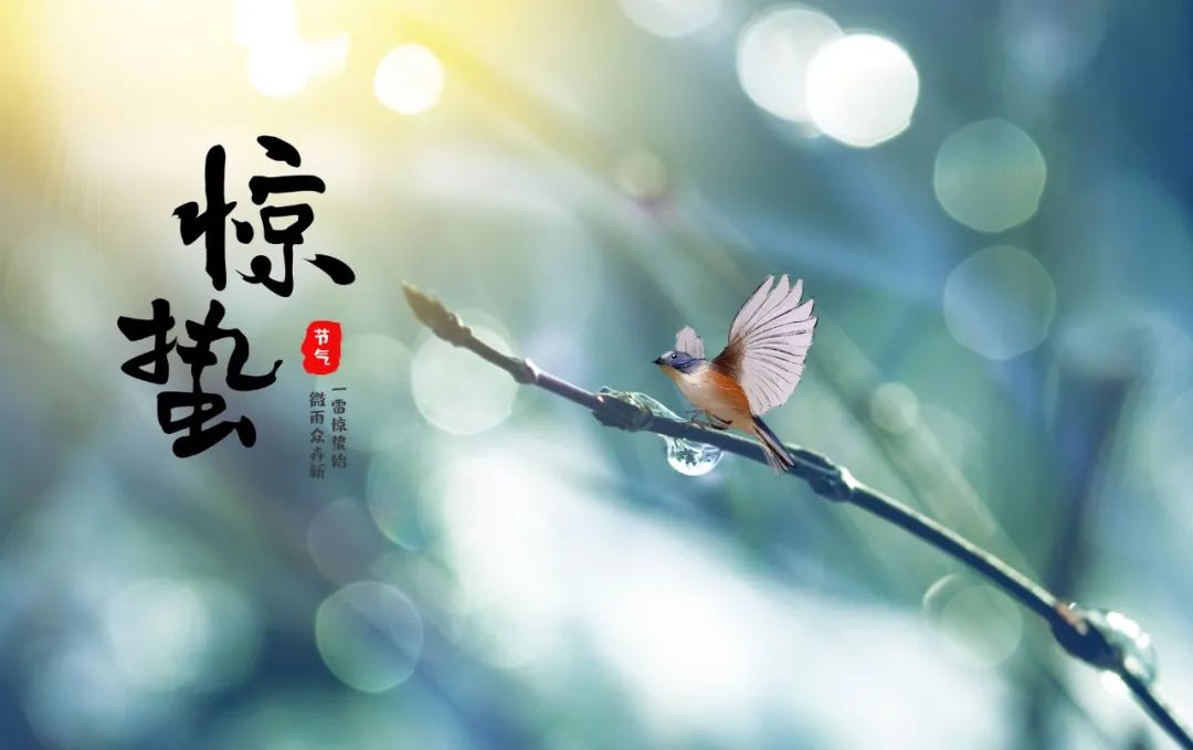 惊蛰诗句古诗大全（惊蛰最经典诗词） 第3张
