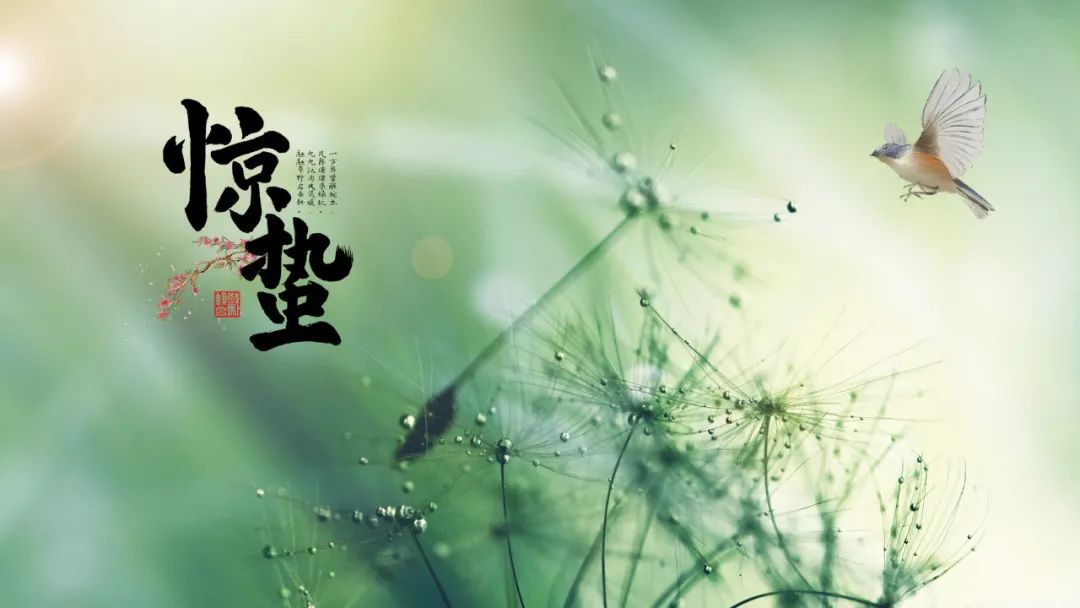 惊蛰诗句古诗大全（惊蛰最经典诗词） 第15张